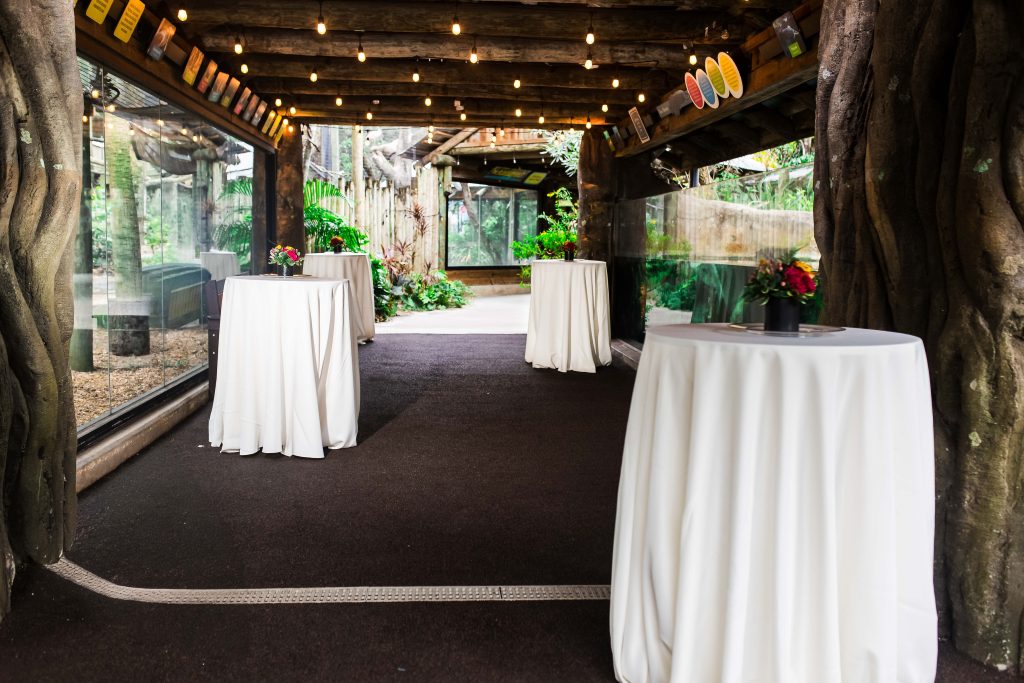 White-covered cocktail tables with floral arrangements line a walkway beside animal exhibit windows.