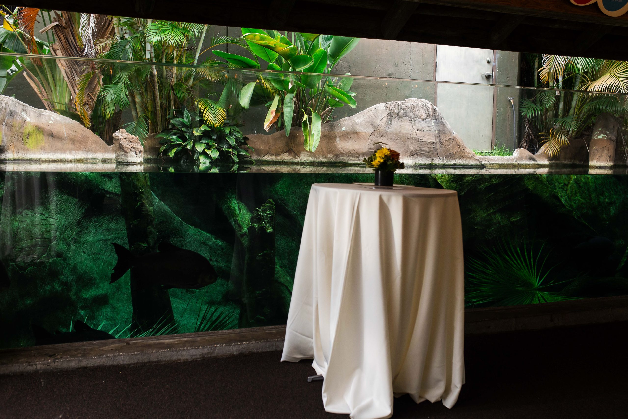 A white-covered cocktail table with flowers stands beside a large aquarium-style exhibit window.